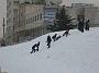 Here are Jordanian children playing in the snow.